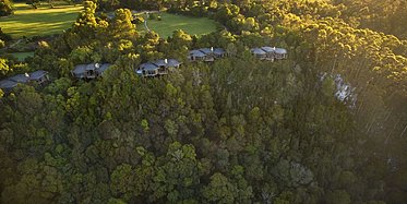 Tsala Treetop Lodge