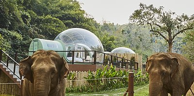 Jungle Bubbles - Anantara Golden Triangle Elephant Camp & Resort