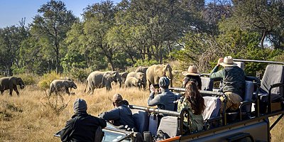 Safari - Lion Sands River Lodge