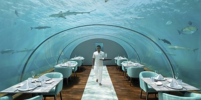 Unterwasser Restaurant Ithaa - Conrad Maldives Rangali Island