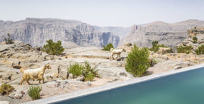 Cliff Pool Villa - Anantara Jabal Akhdar Resort