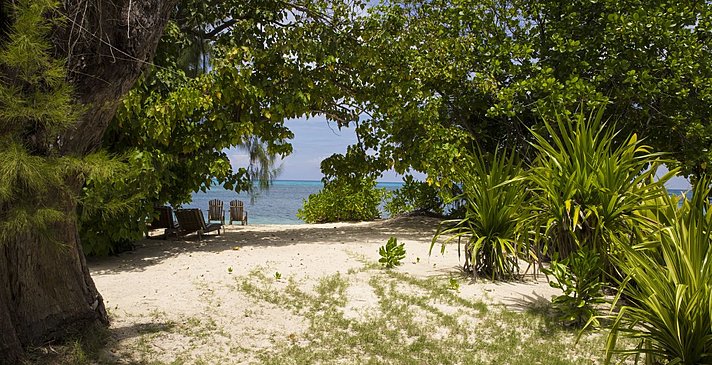 Denis Private Island - Beach Cottage