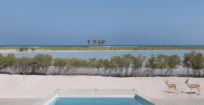 Pool Villa