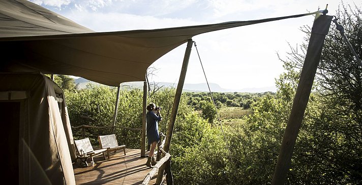 Luxury Tent - Marataba Safari Lodge