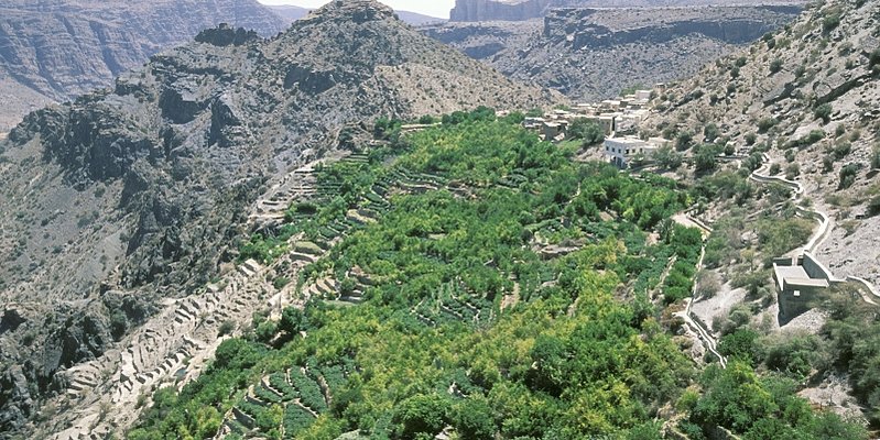 Rundreise Oman - Oman's Fascinating Nature