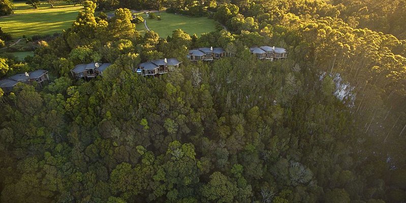 Tsala Treetop Lodge