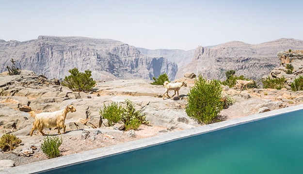 Anantara Al Jabal Al Akhdar Resort