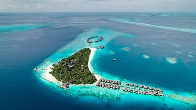 Coco Bodu Hithi