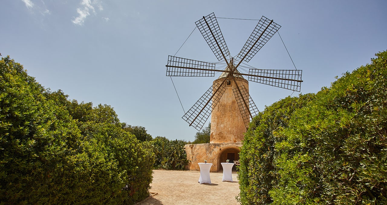 Zoetry Mallorca - Gartenanlage und Windmühle