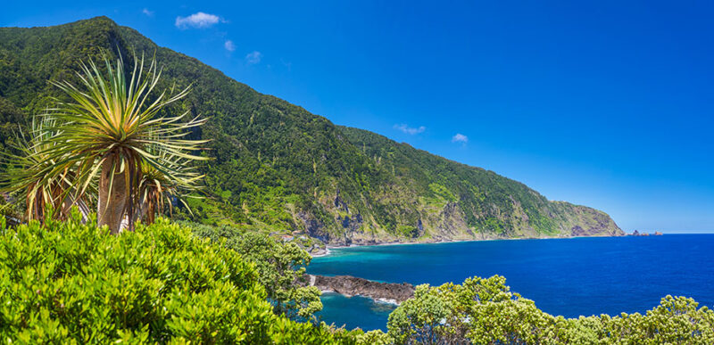 Portugal Reisetipps - Urlaub, Hotel, Luxusurlaub - Madeira