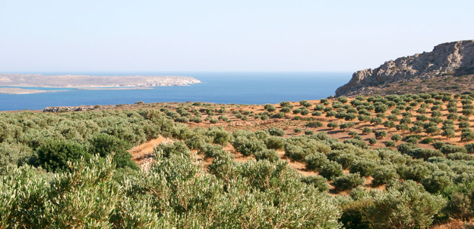 Kreta Reisetipps - Urlaub, Hotel, Luxusurlaub - Natur