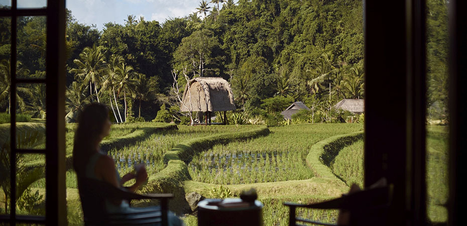Bali Reisetipps - Urlaub, Hotel, Luxusurlaub - One Bedroom RIce Terrace Pavilion