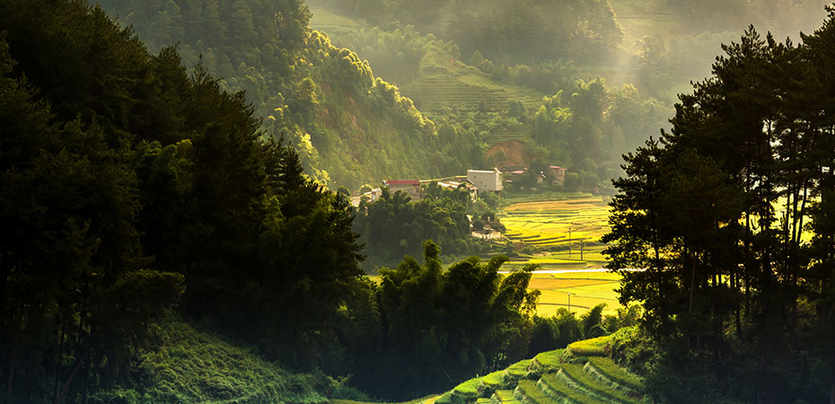 Bali Reisetipps - Urlaub, Hotel, Luxusurlaub - Reisterrassen
