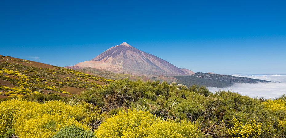 Teneriffa Reisetipps - Urlaub, Hotel, Luxusurlaub - Pico del Teide