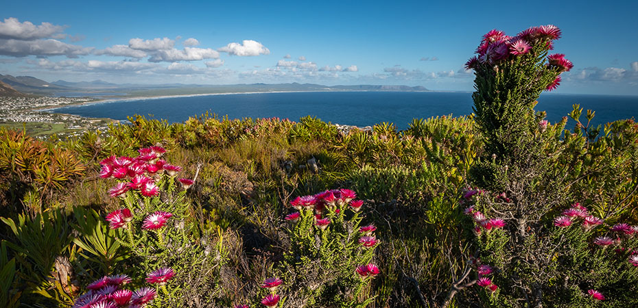 Südafrika Reisetipps - Urlaub, Hotel, Luxusurlaub - Natur