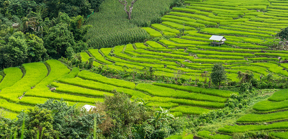 Thailand Reisetipps - Urlaub, Hotel, Luxusurlaub - Nordthailand