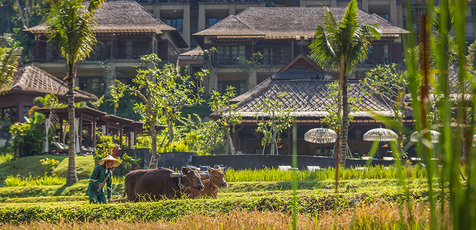 Bali Reisetipps - Urlaub, Hotel, Luxusurlaub - Wetter